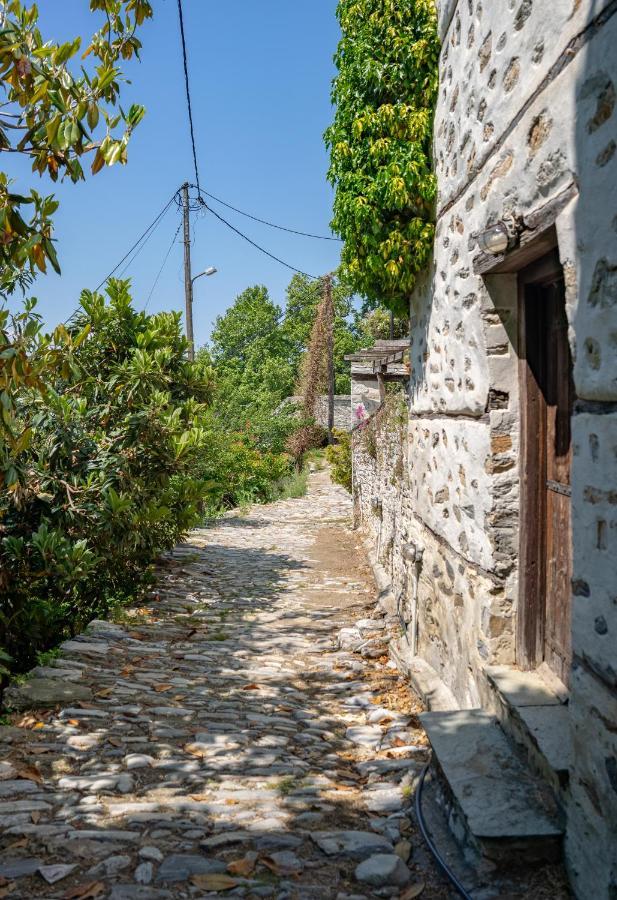 Pelion House With Stunning View To Relax Vyzítsa Exterior foto